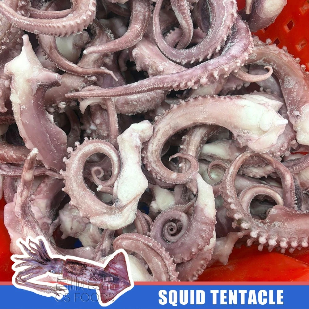 squdi tentacle squdi tentacle