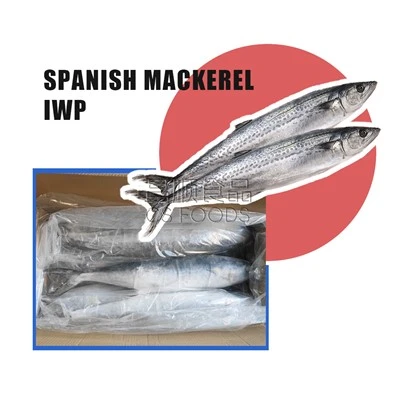 IWP makro Panyòl